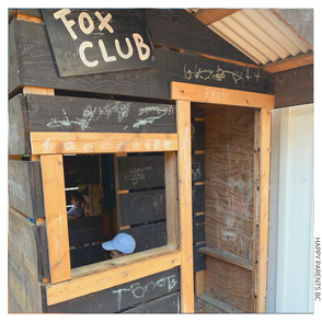 field-house-fox-club-playhouse-picture